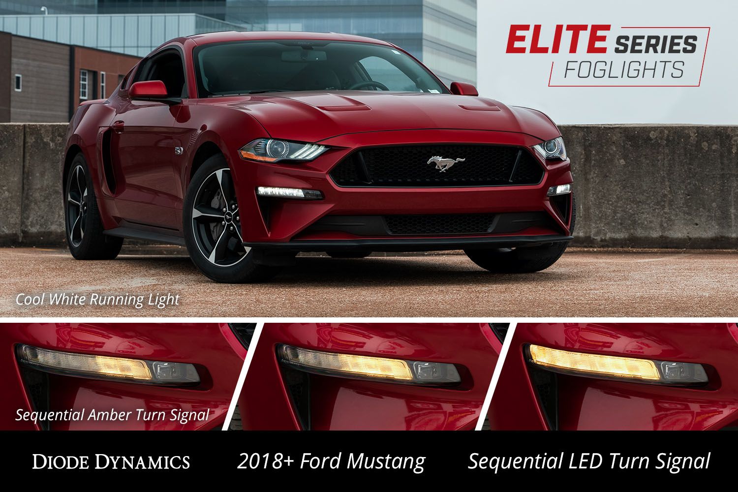 Diode Dynamics Elite Series Combination Fog Lamp for 2018-2023 Ford Mustang  (USDM)