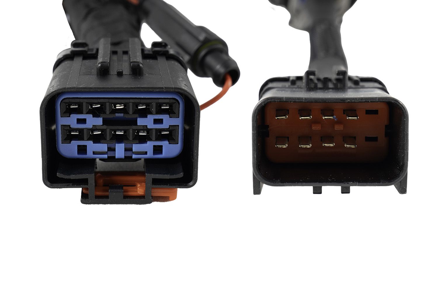 Diode Dynamics Stage Series 10-pin Dual-Output Trailer Wiring Harness - Image 2