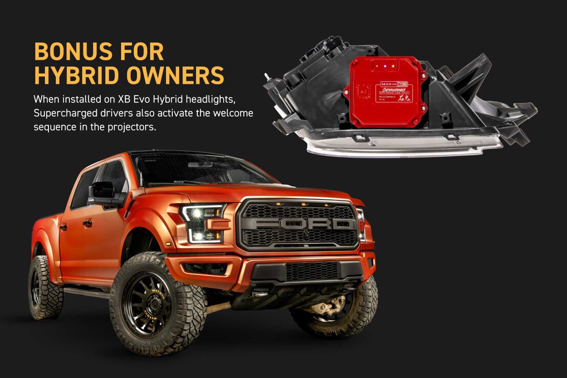 Supercharged Drivers 15-17 Ford F-150 / 17-20 Raptor XB Evo - Image 5